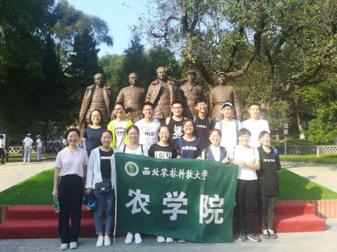 少年泰坦大出击